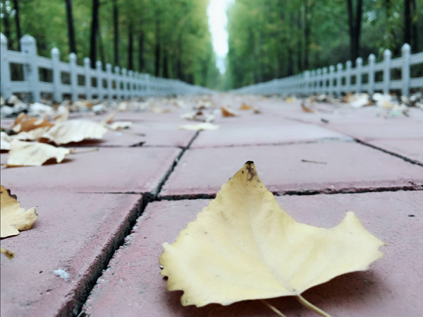 博客第一篇文章